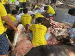 Golkar DKI Jakarta Potong 57 Sapi dan 60 Kambing Kurban, Ahmed Zaki: Momen Pererat Kepedulian Sosial