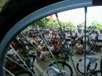 Gowes-Asik-tribun-Telkomsel-Makassar.jpg
