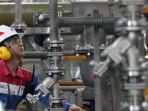 Green Hydrogen Ulubelu, Tonggak Baru Energi Bersih dan Lapangan Kerja