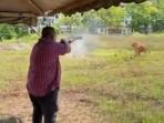 Pembelaan Pejabat Malaysia Usai Tembak Sapi Kurban: Siapa Bertanggung Jawab Jika Ada yang Tewas?