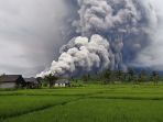 Gunung-Semeru-Erupsi-Luncurkan-Awan-Panas_20251119_205735.jpg