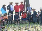 Petani Keluhkan Irigasi dan Solar, PDIP: Kedaulatan Pangan Harga Mati, Petani Harus Sejahtera