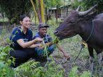 HEWANQURBAN1222.jpg