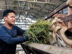 Peternak Kambing Mojokerto Panen Pesanan Hewan Kurban untuk Idul Adha, Pasarkan Via Online