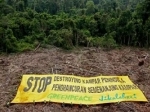 Hutan-Riau.jpg