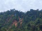 Tambang Ilegal Ditertibkan, Ratusan Hektare Lahan Kembali ke Negara
