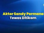 INFOGRAFIS Fakta-fakta Penikaman Aktor Sandy Permana