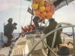 Israel Sita Sekitar 40 Kapal Global Sumud Flotilla yang Menuju Gaza, 300 Aktivis Ditahan
