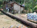 Ibu-dan-Anak-Balita-Tewas-Tertimpa-Pohon-Kepala-Sawit.jpg