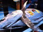 Ikan-tuna1222.jpg