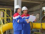 Lowongan Kerja BUMN PT Solusi Energy Nusantara untuk Fresh Graduate, Dibuka hingga 31 Januari 2025