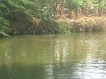 Ilustrasi-sungai-ok1.jpg