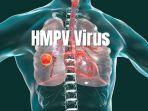 Tubuh Terpapar Virus HMPV, Ini Langkah Penanganannya 