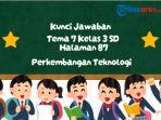 Kunci Jawaban Tema 7 Kelas 3 SD Halaman 87, Tentang Kain Adat Indonesia