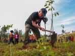 Insan Otorita IKN Tanam 700 Pohon di DAS Sanggai, Dorong Ibu Kota Nusantara Jadi Forest City