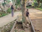 19 Kilometer Jalur Kereta Api Rangkasbitung-Pandeglang Akan Kembali Diaktifkan 2026
