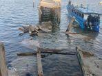 Jembatan-Ambruk-di-Maluku-Tewaskan-7-Orang.jpg
