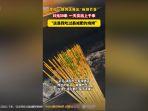 KULINER-VIRAL-CHINA-1.jpg