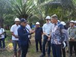 KUNJUNGAN-KE-KEBUN-SAWIT-Duta-Besar-Uni-Eropa-untuk.jpg