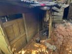 Kasus Cacingan Muncul Lagi, KPAI Soroti Anak Diasuh Orangtua yang Punya Utang dan Candu Gadget