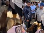 Kala Prabowo Puji Aksi Heroik Anjing Selamatkan Tuannya saat Banjir Bali: Kamu Pahlawan