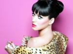 Katy_perry_American-Idol.jpg