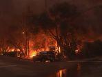 Kebakaran-di-Los-Angeles-3r584ht21.jpg