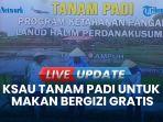 VIDEO Kala KSAU Tanam Padi & Pastikan Dapur Siap Dukung Program Makan Bergizi Gratis di Lanud Halim