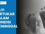Video Kronologi Bayi Diduga Tertukar dalam Kondisi Meninggal di Jakpus, Ketahuan saat Bongkar Makam