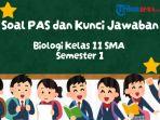 Kumpulan-25-Soal-PAS-Biologi-Kelas-11-Semester-1.jpg