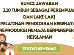 Kunci Jawaban 3.10 Tumbuh Sebagai Perempuan dan Laki-Laki, PINTAR Kemenag