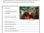 Kunci Jawaban Bahasa Inggris Kelas 9 Halaman 39, Worksheet 1.6: Orangutan and Helmeted Hornbill