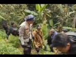 Ladang-ganja-Semeru.jpg