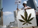 Legalkan-Ganja.jpg