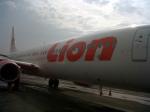 Lion-Aer.jpg