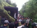 MEDAN_Pohon_Ganja.jpg