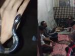 Mainan Ular Berbisa, Remaja di Bogor Tewas dan Temannya Kritis usai Digigit, Video Kejadian Viral
