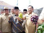 Menteri-Dalam-Negeri-Muhammad-Tito-Karnavian-Menteri-Desa-Yandri-Susanto-panen-anggur.jpg