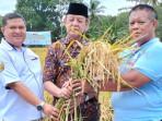 Perayaan Hasil Bumi Warga Ciwedus Banten, Inovasi Padi Bibit Unggul Menuai Hasil