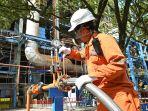 PLN-IP-amonia-hijau.jpg
