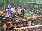 Tragedi Pohon Aren Tumbang di Karangasem Bali: 3 Orang Tewas, 6 Lainnya Terluka