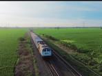 Terapkan ISO 14083, Industri Logistik Berbasis Kereta Tekan Emisi Karbon