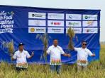 Petani Disarankan Pilih Benih Padi Bersertifikat Agar Hasil Panen Melimpah