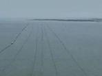 Pagar-laut-3016-Kilometer-di-perairan-Tangerang-Banten.jpg