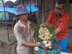 Tapanuli Utara dan Humbang Hasundutan Jadi Penghasil Kemenyan Terbesar Dunia
