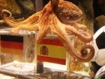 Paul-Si-Gurita-Peramal.jpg