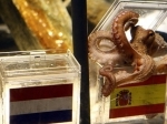 Paul-si-Gurita-pilih-spanyol.jpg