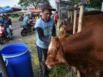 Pedagang-Hewan-Kurban-Mulai-Bermunculan-di-Surabaya_20250519_172825.jpg