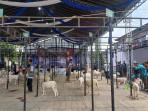 Pelajar SD dan SMP di Wonosobo Diberikan Domba untuk Diternak, Biar Tidak Main Ponsel Melulu