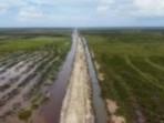 PSN Cetak Sawah Wanam Papua Dinilai Krusial untuk Ketahanan Pangan Jangka Panjang
